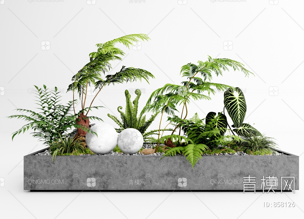 盆栽组合 蕨类植物SU模型下载【ID:858126】