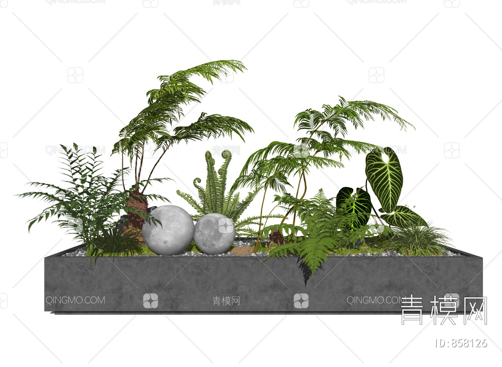 盆栽组合 蕨类植物SU模型下载【ID:858126】