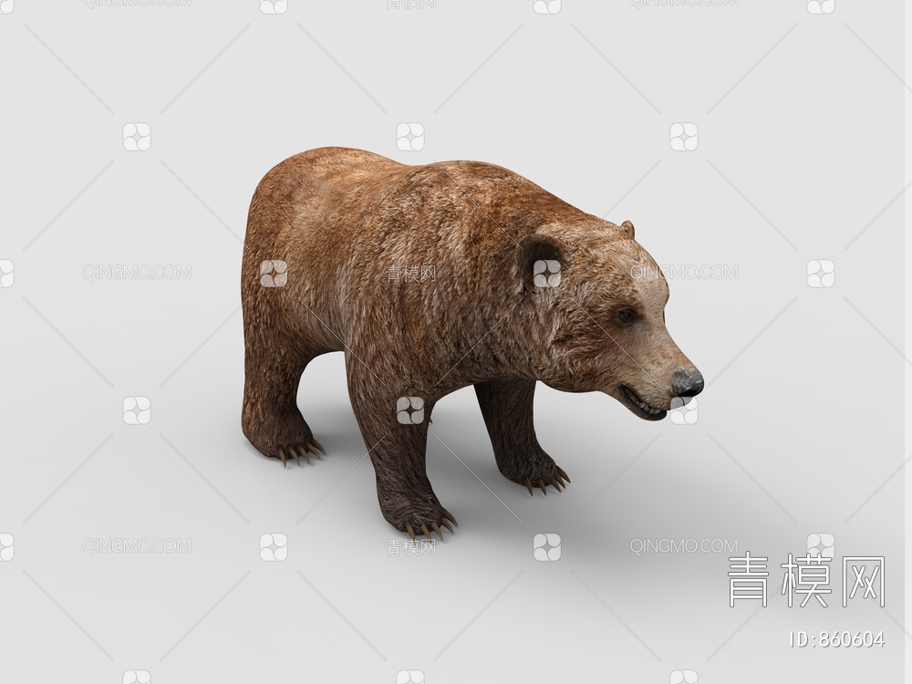 动物，狗熊，熊3D模型下载【ID:860604】