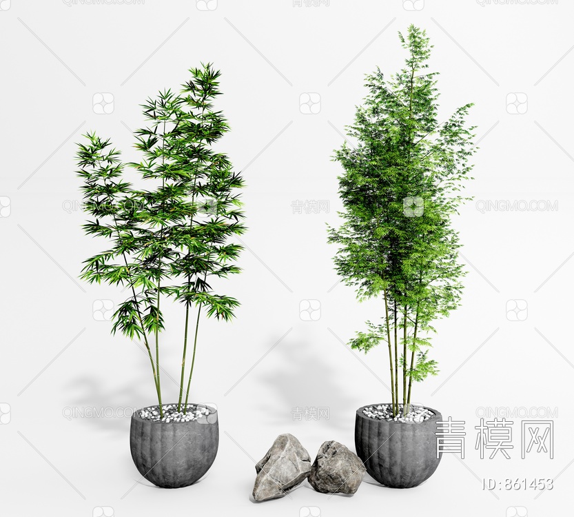竹子盆栽 植物盆景SU模型下载【ID:861453】