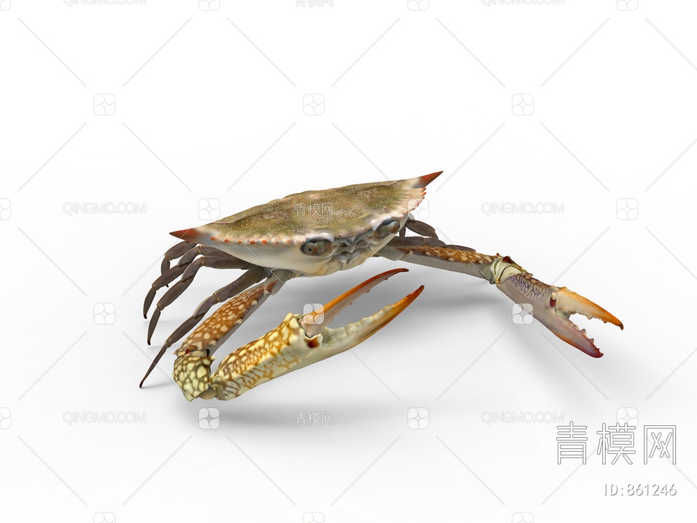 螃蟹动物水产3D模型下载【ID:861246】