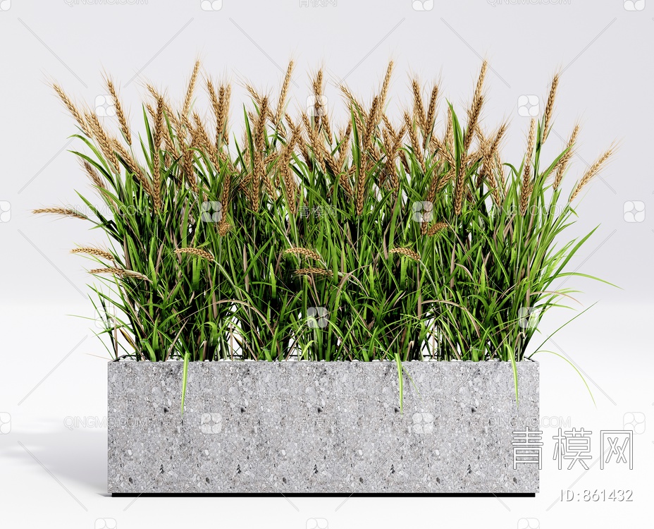 植物盆栽 小麦植物 草SU模型下载【ID:861432】