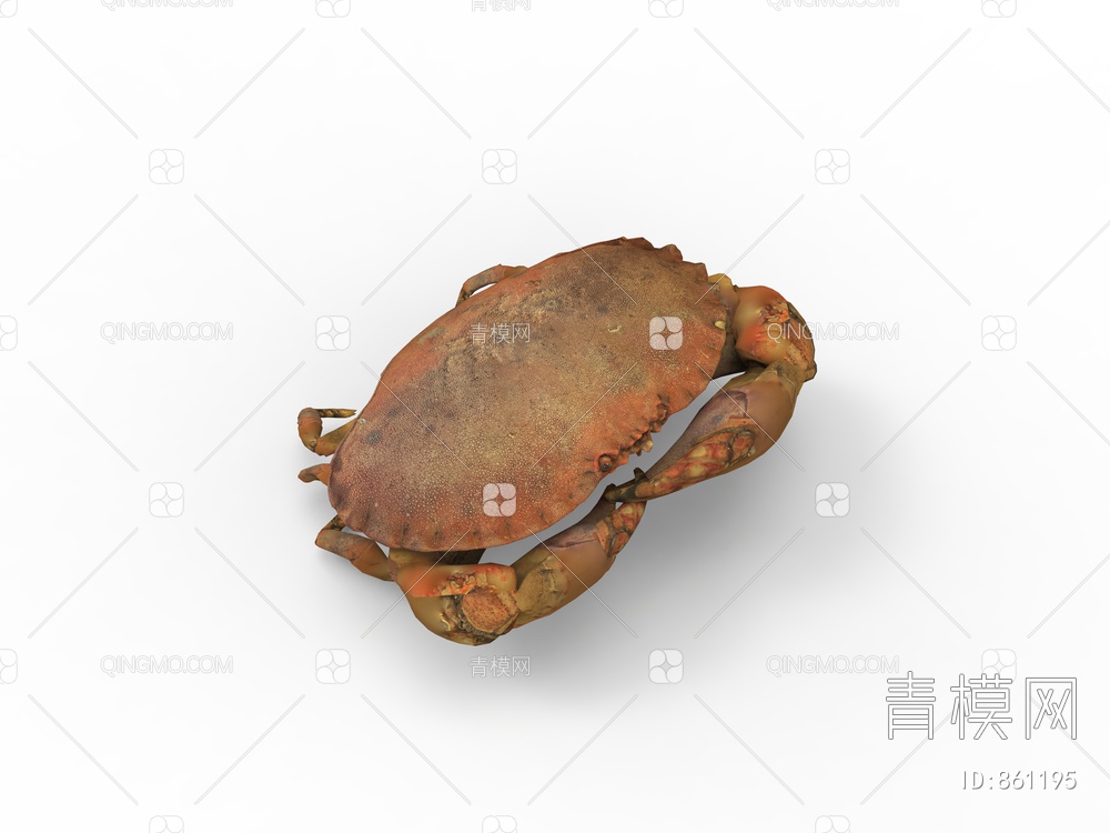 螃蟹，水产，动物3D模型下载【ID:861195】