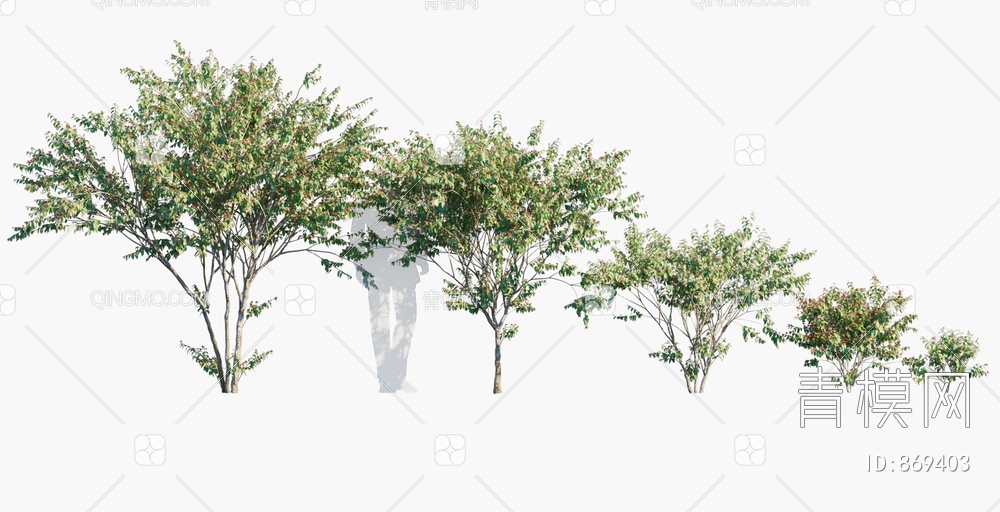 景观树3D模型下载【ID:869403】