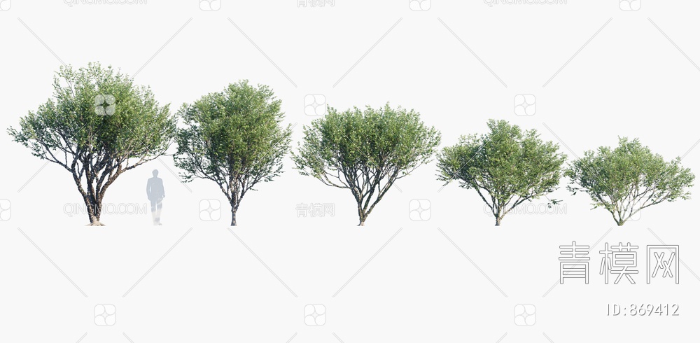 景观树3D模型下载【ID:869412】