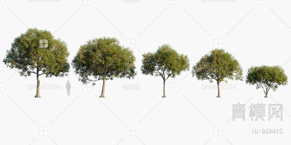 景观树3D模型下载【ID:869415】