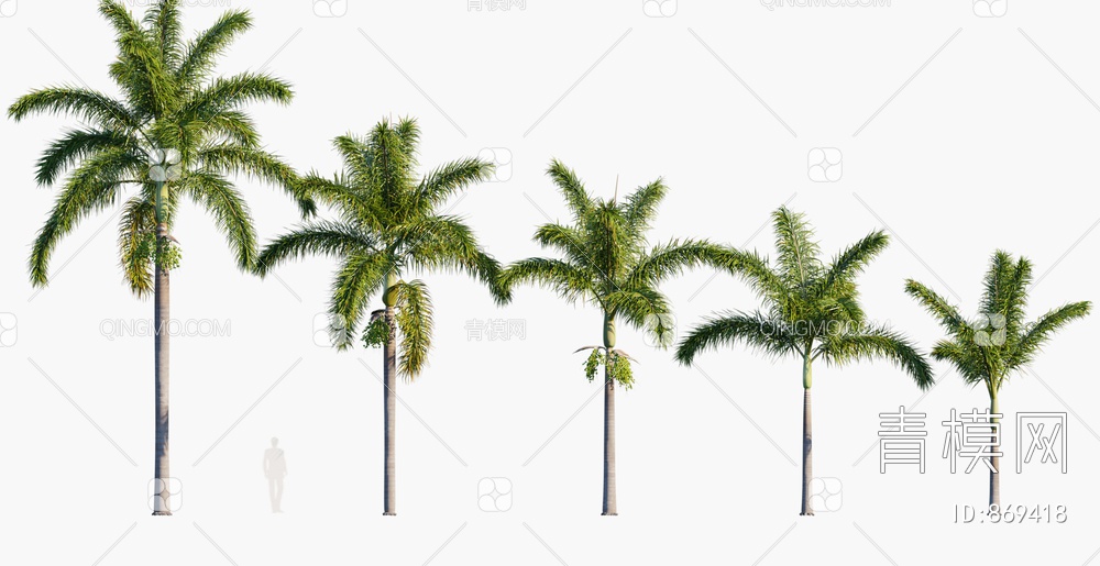 椰子树3D模型下载【ID:869418】