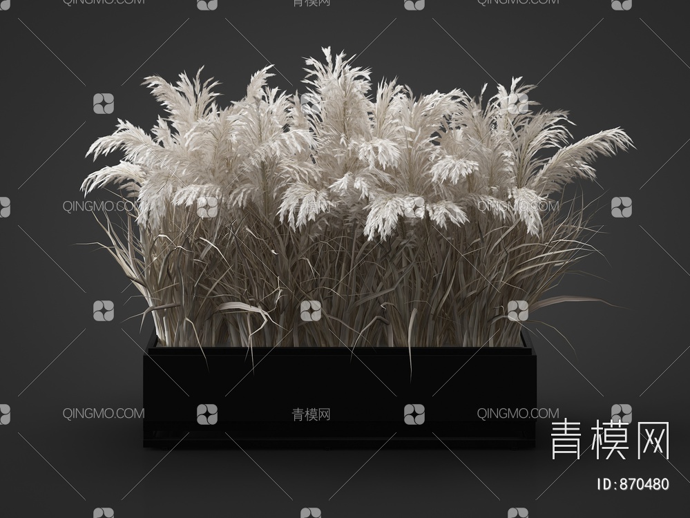 芦苇 植物3D模型下载【ID:870480】