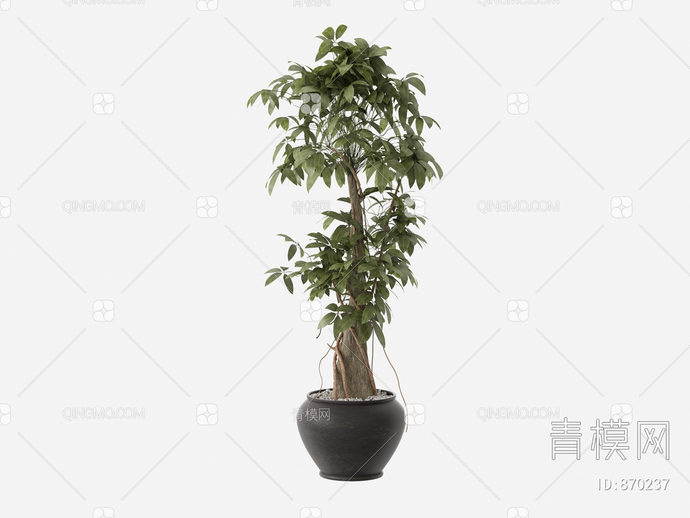 植物盆栽3D模型下载【ID:870237】