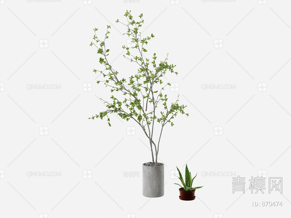 植物盆栽3D模型下载【ID:870474】