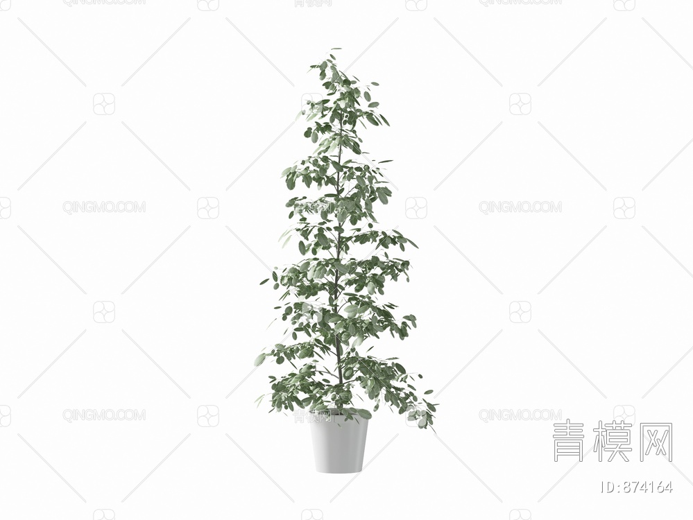 植物盆栽3D模型下载【ID:874164】
