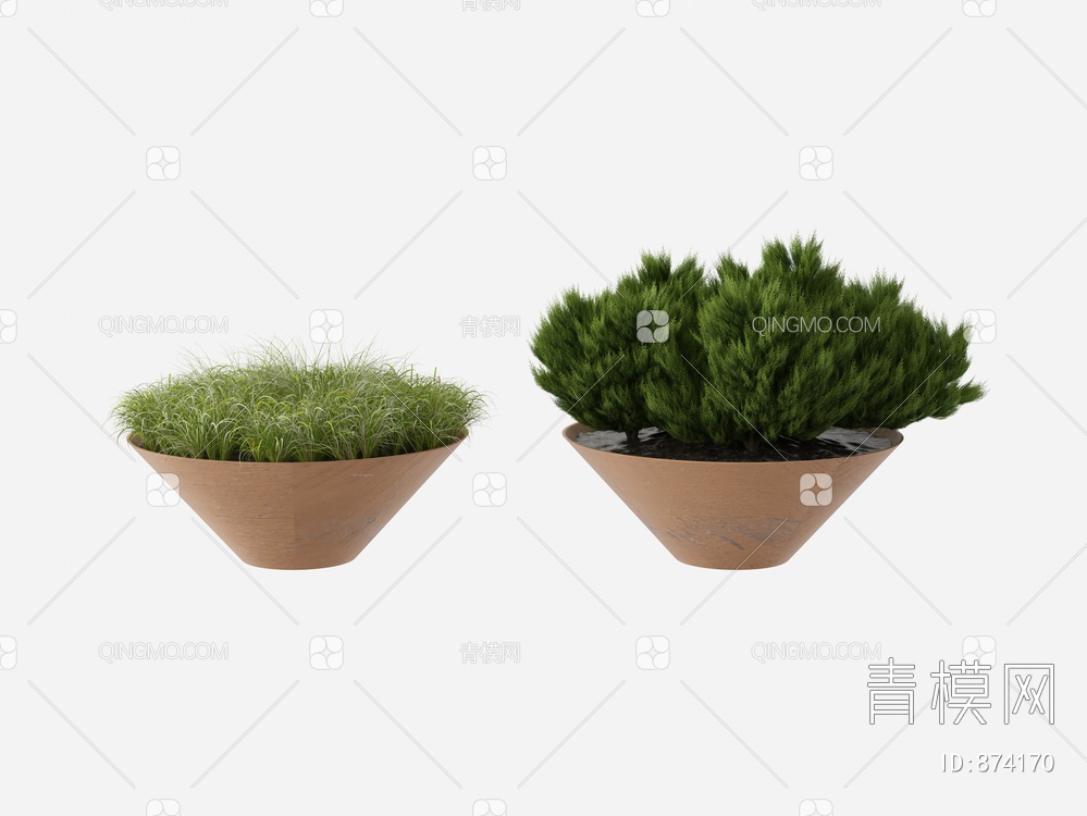 植物盆栽3D模型下载【ID:874170】
