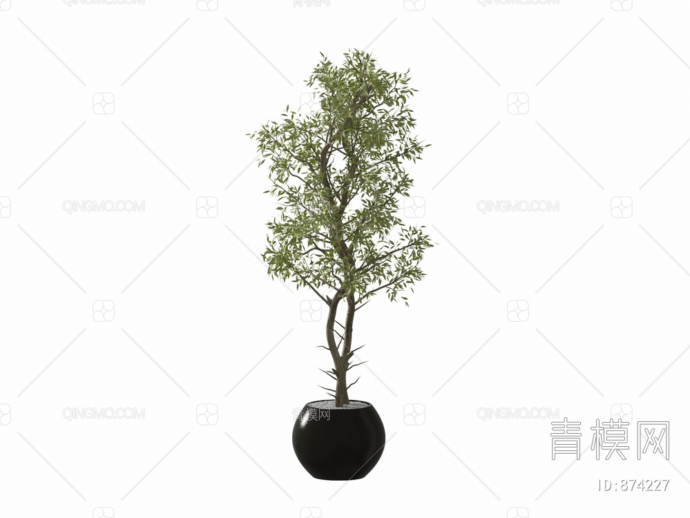 植物盆栽3D模型下载【ID:874227】