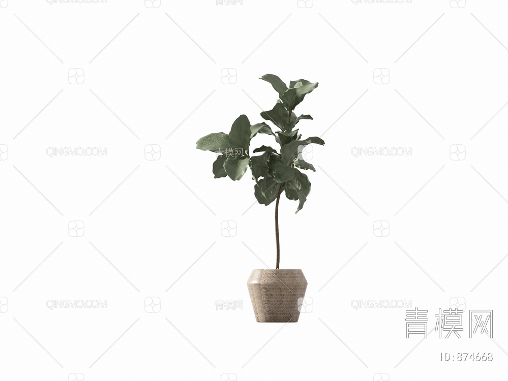 植物盆栽3D模型下载【ID:874668】