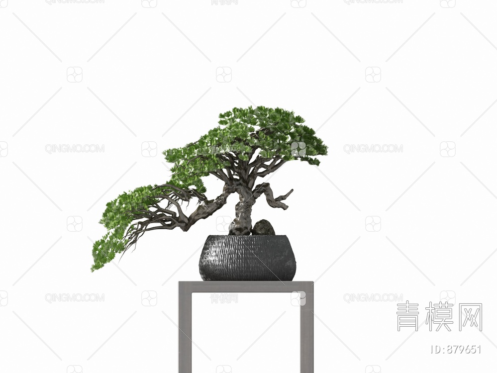 松树盆景3D模型下载【ID:879651】