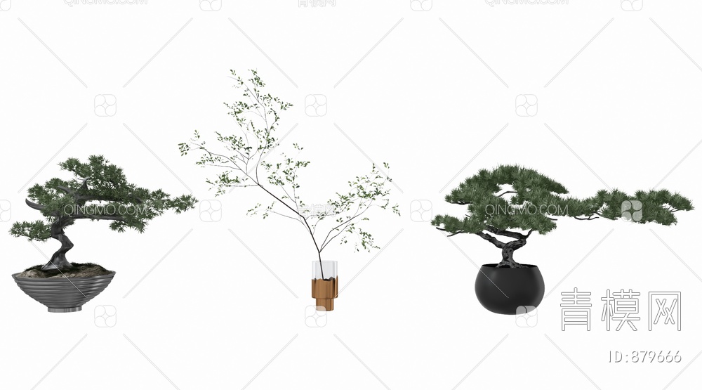 松树 松树盆栽 水生植物 植物摆件3D模型下载【ID:879666】