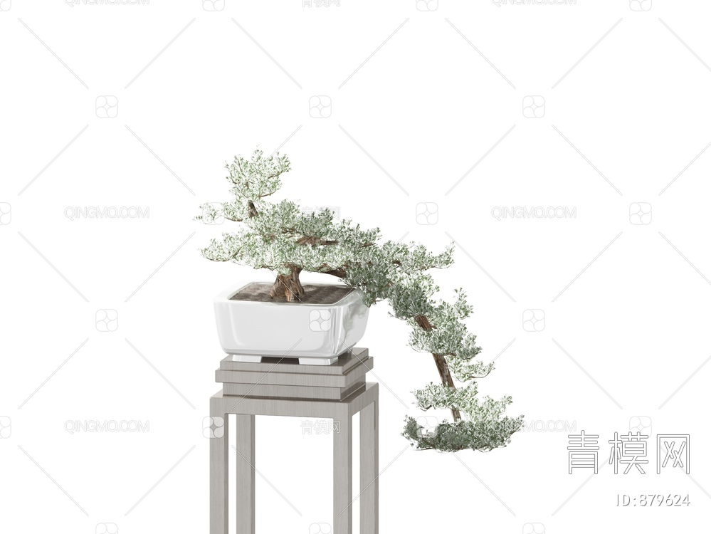 松树盆栽3D模型下载【ID:879624】
