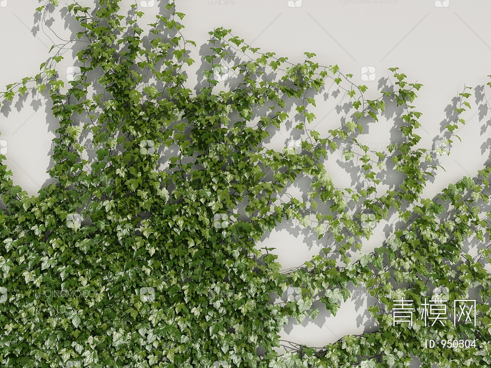 爬山虎，藤蔓植物绿植墙3D模型下载【ID:950304】