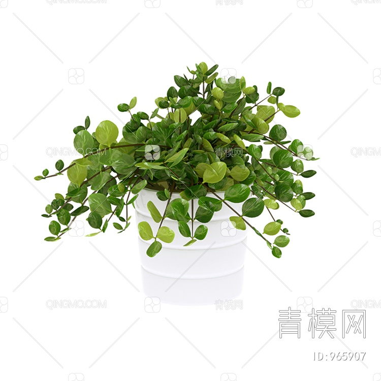 室内盆栽绿植 白盆3D模型下载【ID:965907】