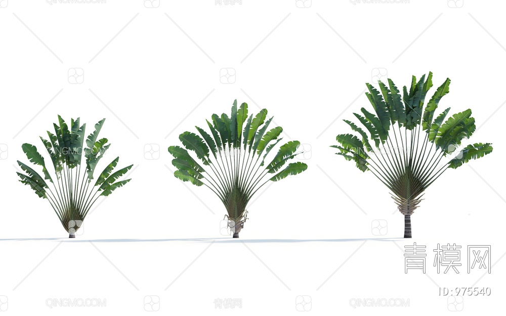 热带植物3D模型下载【ID:975540】