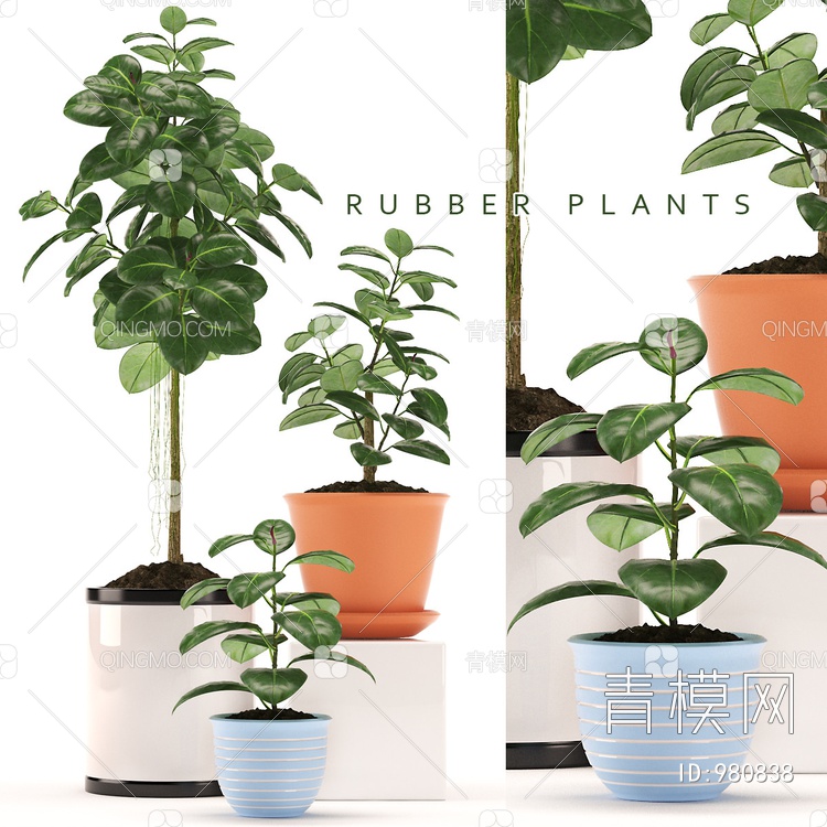 高品质植物3D模型下载【ID:980838】