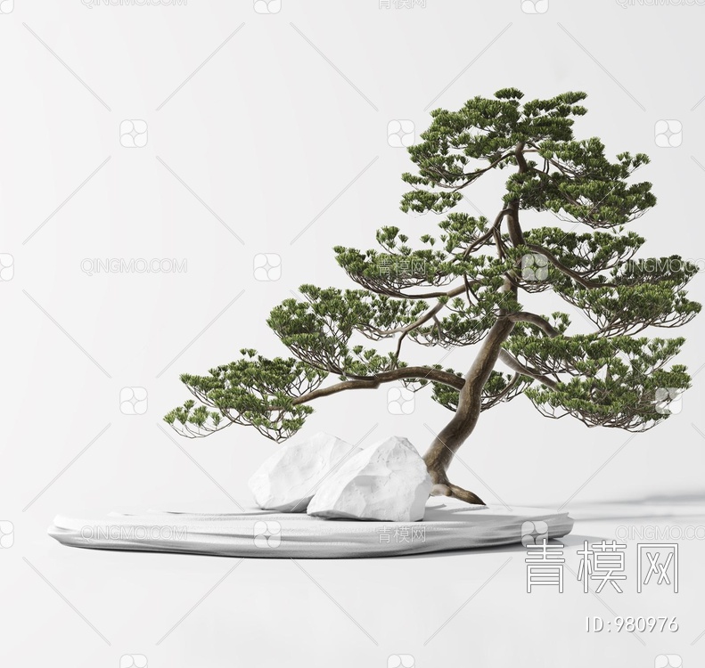 松树盆景 盆栽3D模型下载【ID:980976】