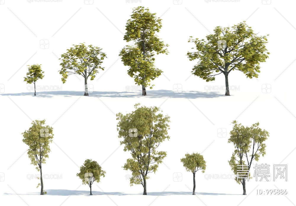 树 树木 秋季树木3D模型下载【ID:995886】