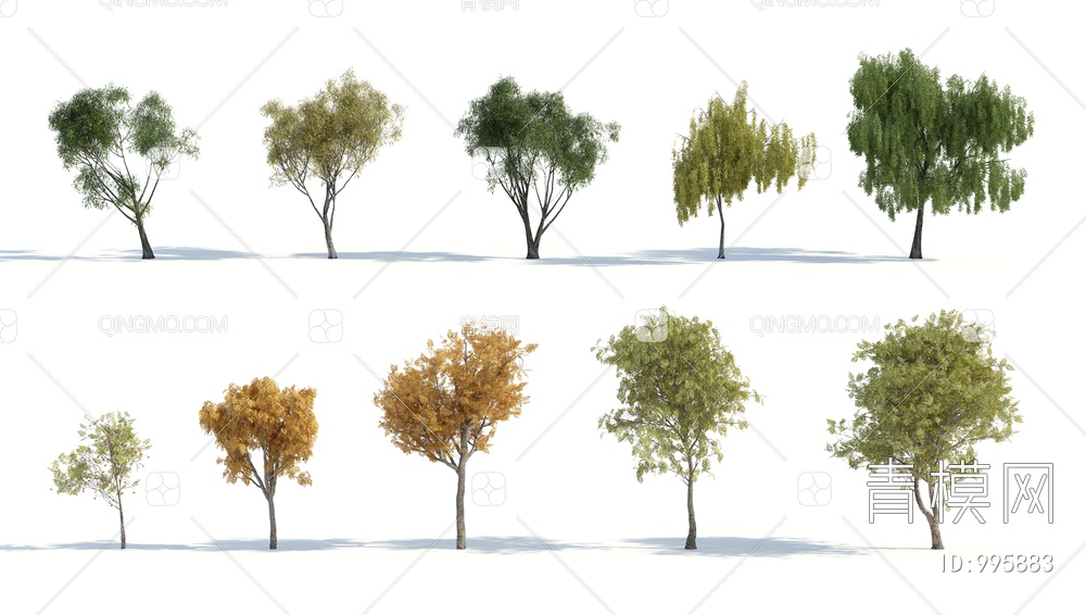 树 树木 秋季树木3D模型下载【ID:995883】