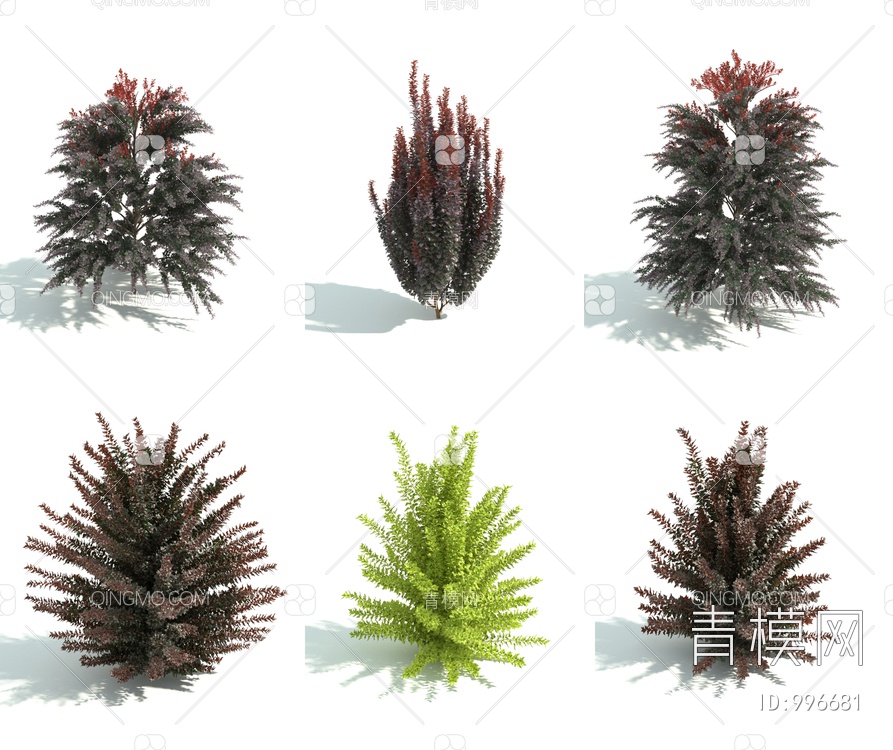 灌木 园林灌木 园林植物3D模型下载【ID:996681】