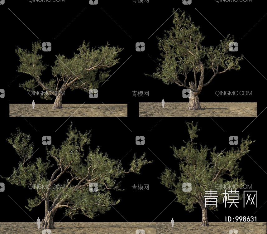 澳大利亚桉树3D模型下载【ID:998631】