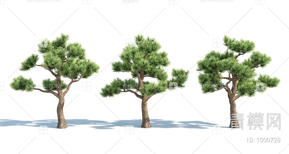 树 松树 树木3D模型下载【ID:1000728】