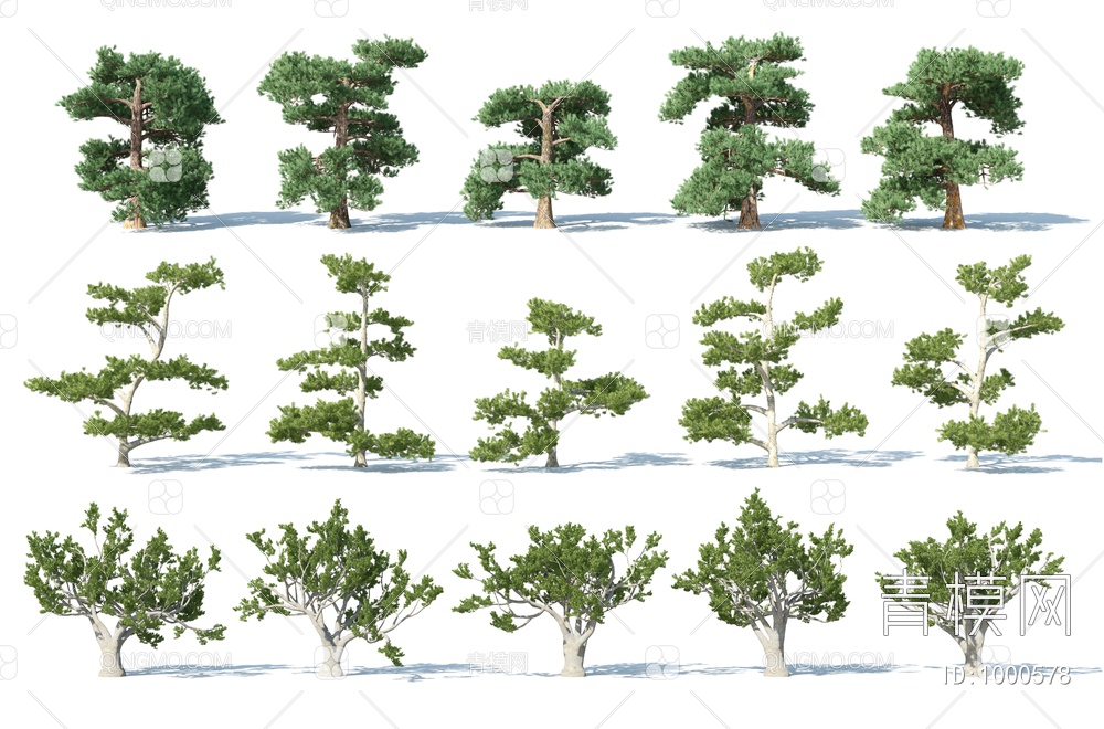 树 松树 树木 园林树3D模型下载【ID:1000578】