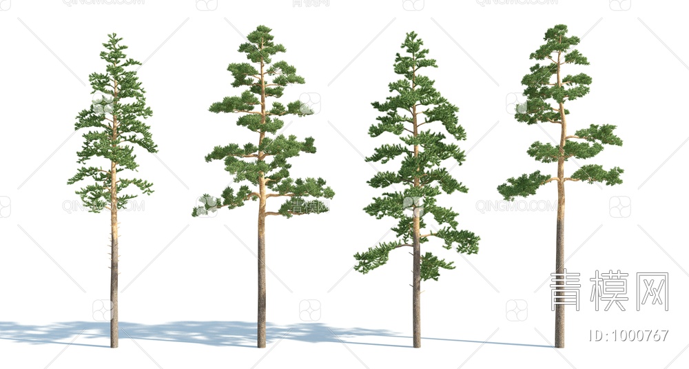 树 松树 树木3D模型下载【ID:1000767】