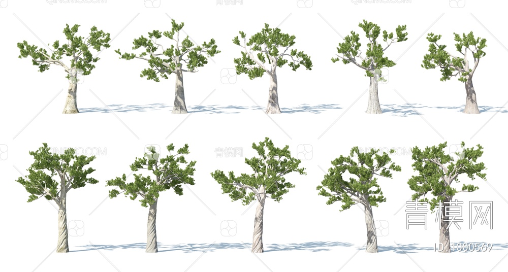 树 松树 树木 园林树3D模型下载【ID:1000569】