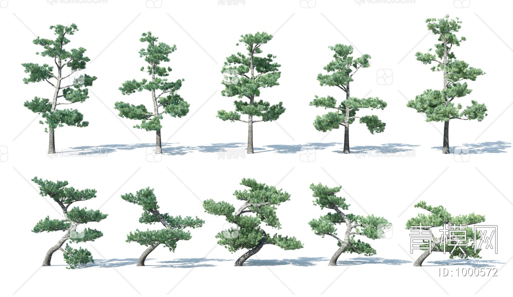 树 松树 树木 园林树3D模型下载【ID:1000572】