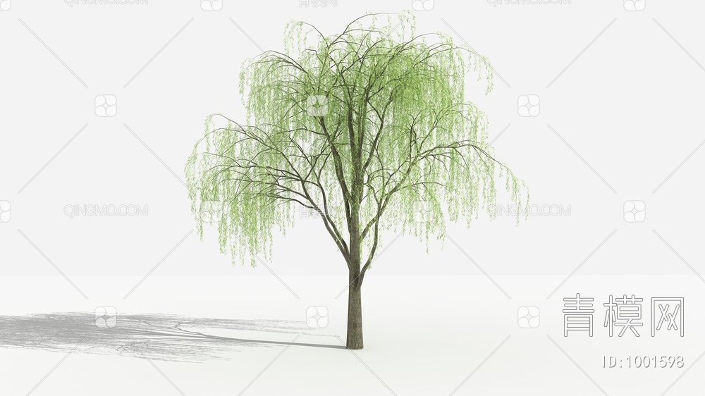 垂柳 灌木 树 植物 花3D模型下载【ID:1001598】