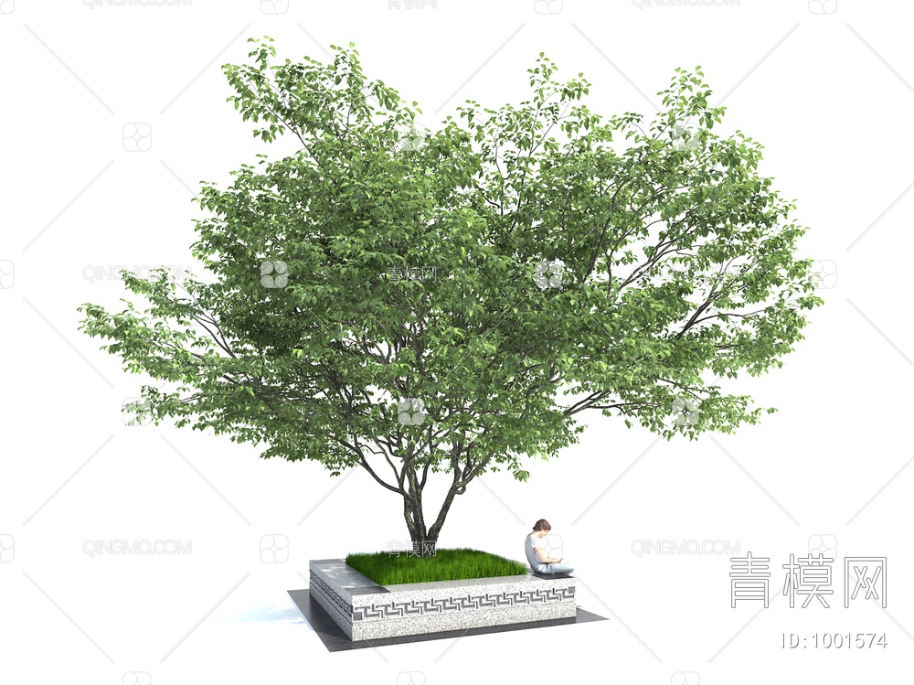 景观树 公园树 广场树3D模型下载【ID:1001574】