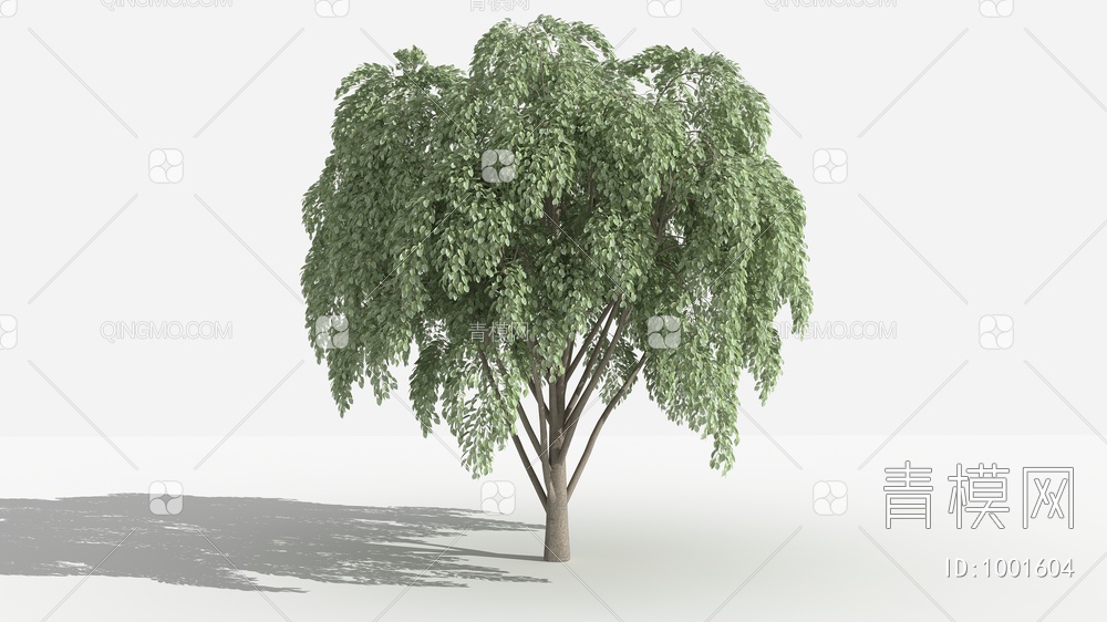 垂叶榕 灌木 树 植物3D模型下载【ID:1001604】