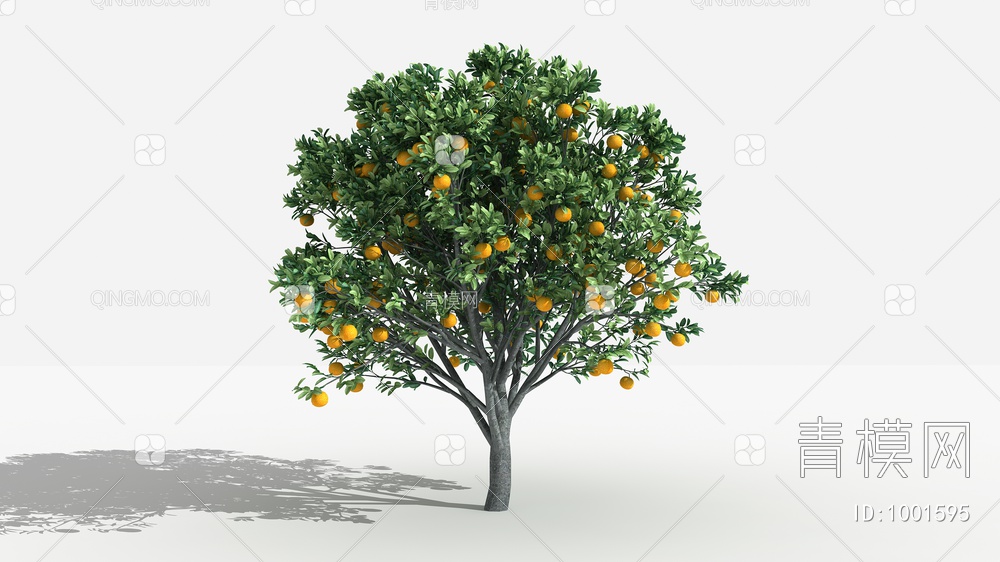 橙子树 灌木 树 植物3D模型下载【ID:1001595】