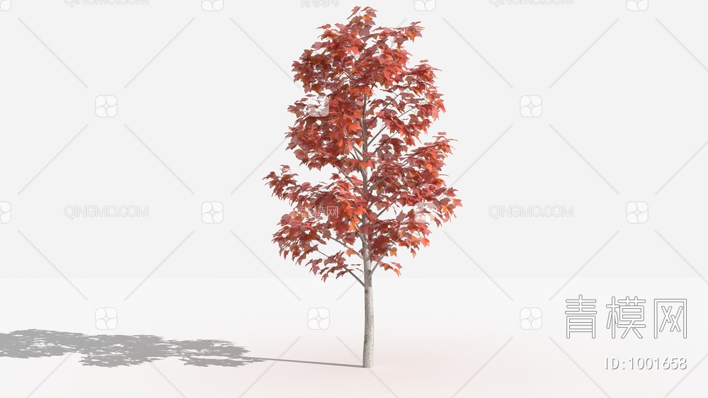 枫香 灌木 树 植物 花3D模型下载【ID:1001658】