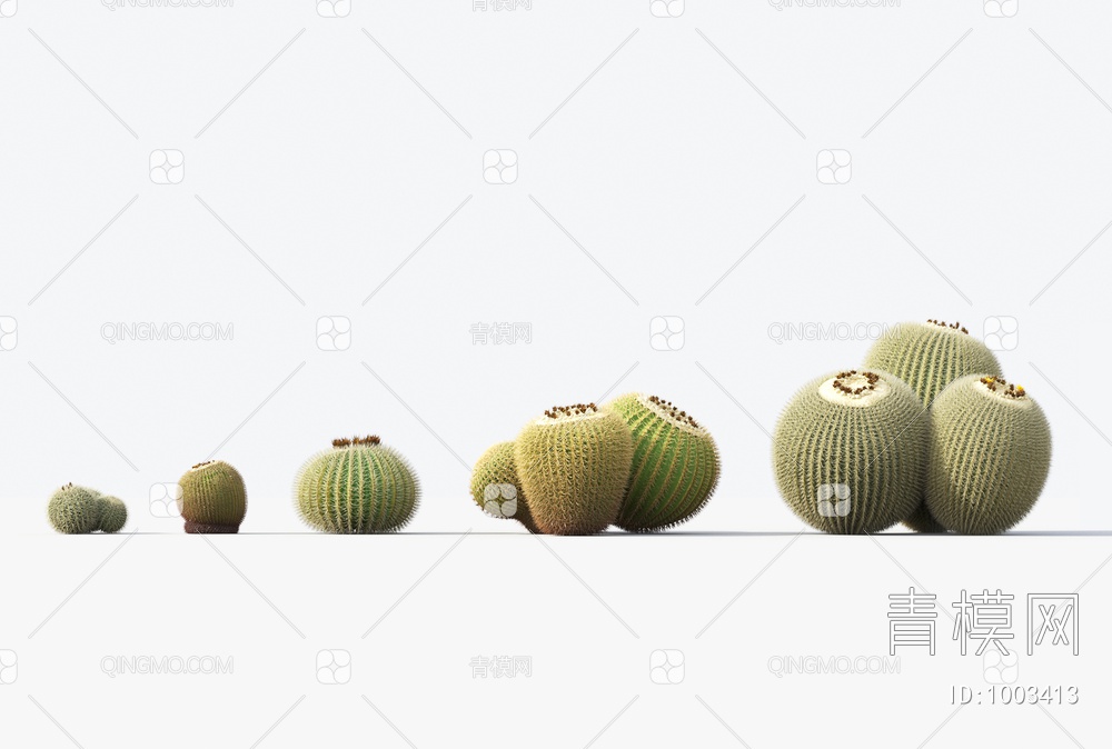 植物 盆栽 仙人球3D模型下载【ID:1003413】