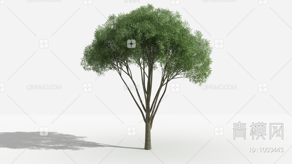 汗柳灌木 树 植物3D模型下载【ID:1003443】