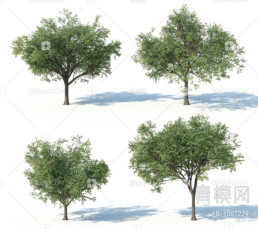树3D模型下载【ID:1007229】