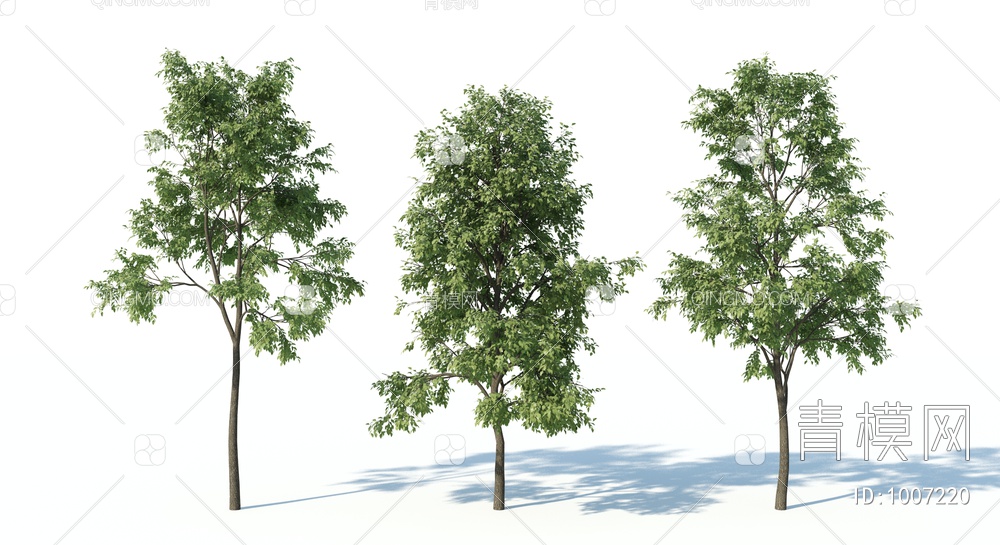 树3D模型下载【ID:1007220】