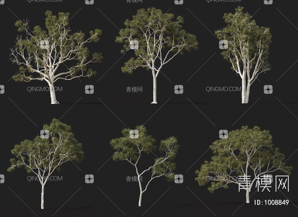 景观树 橡胶树 庭院3D模型下载【ID:1008849】