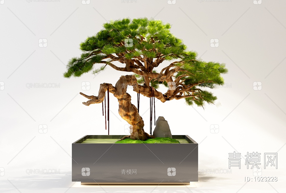 盆栽植物3D模型下载【ID:1023228】