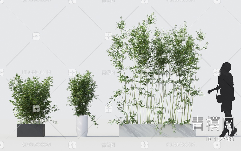 竹子植物3D模型下载【ID:1027980】