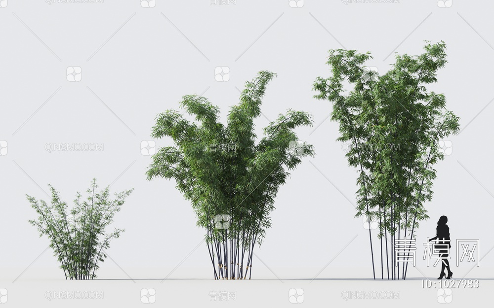 竹子植物3D模型下载【ID:1027983】