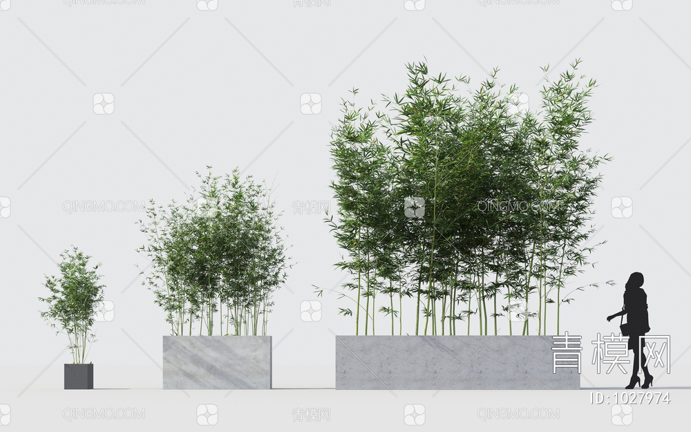 竹子 植物 花卉3D模型下载【ID:1027974】