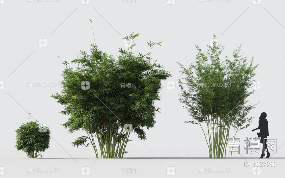 竹子 植物 花卉3D模型下载【ID:1027965】